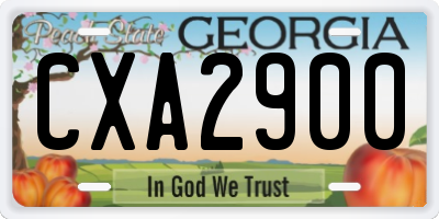 GA license plate CXA2900