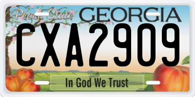 GA license plate CXA2909
