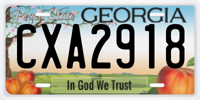 GA license plate CXA2918