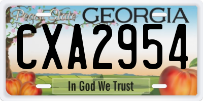 GA license plate CXA2954