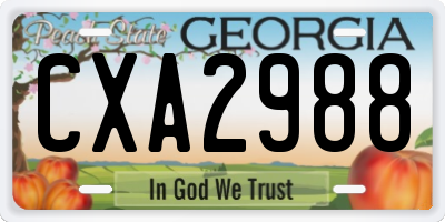 GA license plate CXA2988