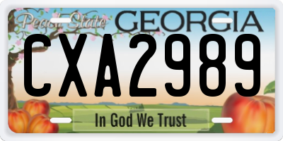 GA license plate CXA2989