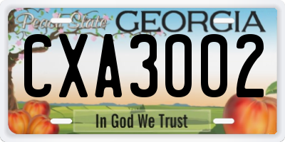 GA license plate CXA3002