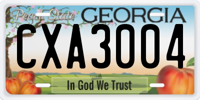 GA license plate CXA3004