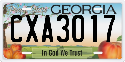GA license plate CXA3017