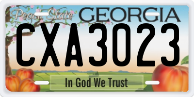 GA license plate CXA3023