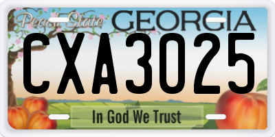 GA license plate CXA3025
