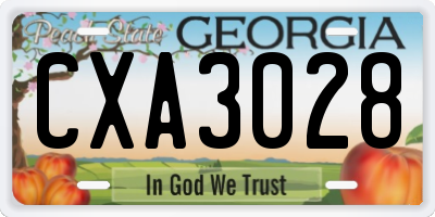 GA license plate CXA3028