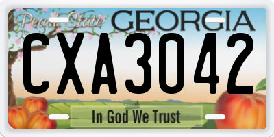 GA license plate CXA3042