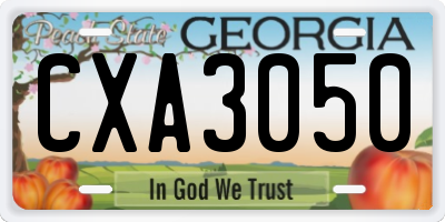 GA license plate CXA3050