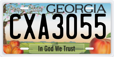 GA license plate CXA3055
