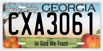 GA license plate CXA3061