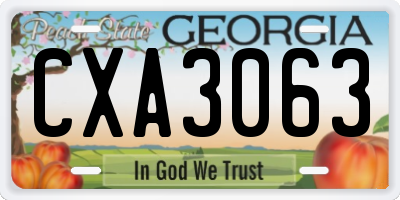 GA license plate CXA3063