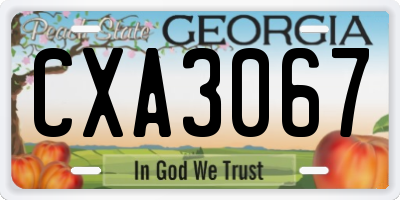 GA license plate CXA3067