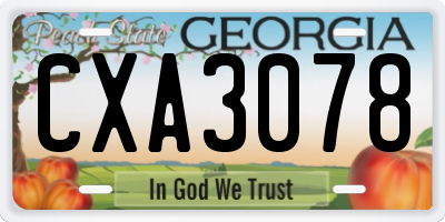 GA license plate CXA3078