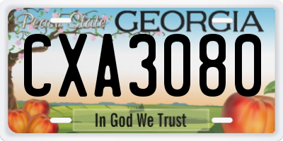 GA license plate CXA3080