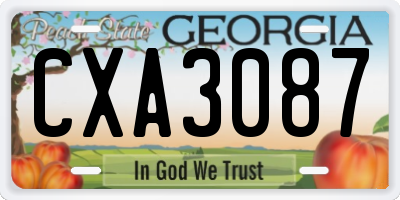 GA license plate CXA3087