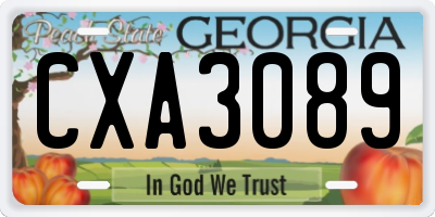 GA license plate CXA3089