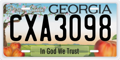 GA license plate CXA3098