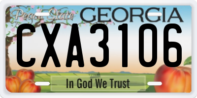 GA license plate CXA3106