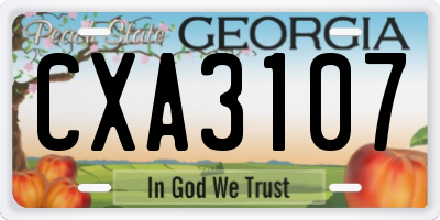 GA license plate CXA3107