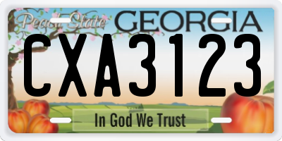 GA license plate CXA3123