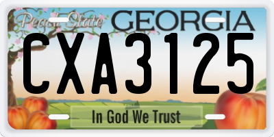 GA license plate CXA3125