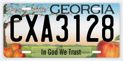 GA license plate CXA3128