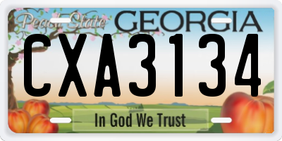 GA license plate CXA3134