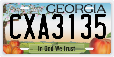 GA license plate CXA3135
