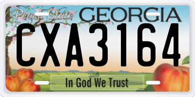 GA license plate CXA3164