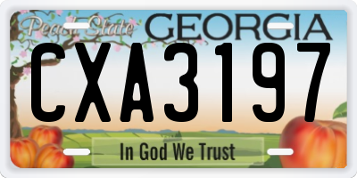 GA license plate CXA3197