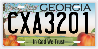 GA license plate CXA3201
