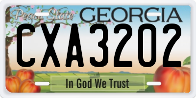 GA license plate CXA3202