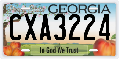 GA license plate CXA3224