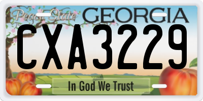 GA license plate CXA3229