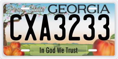 GA license plate CXA3233
