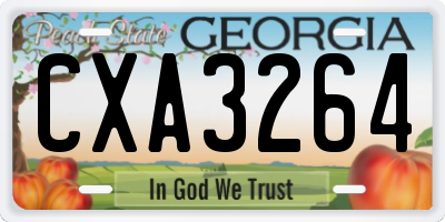 GA license plate CXA3264