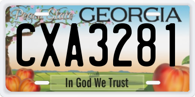 GA license plate CXA3281