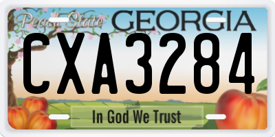 GA license plate CXA3284