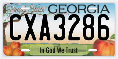 GA license plate CXA3286