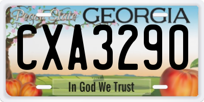 GA license plate CXA3290