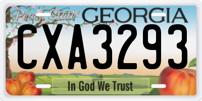GA license plate CXA3293
