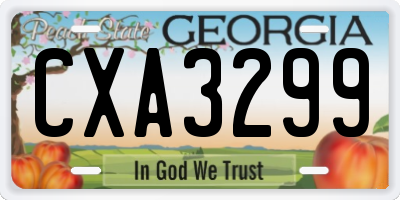 GA license plate CXA3299