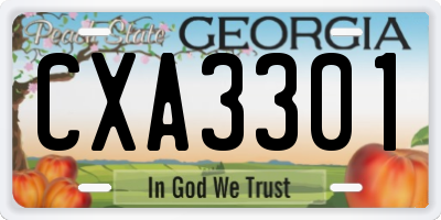 GA license plate CXA3301