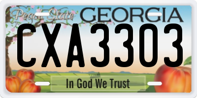 GA license plate CXA3303