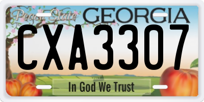 GA license plate CXA3307