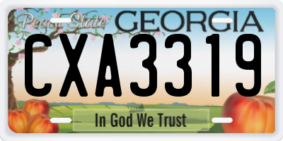 GA license plate CXA3319