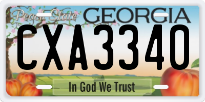 GA license plate CXA3340