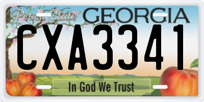 GA license plate CXA3341